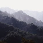 근속일수 계산하는 꿀팁 알아보자