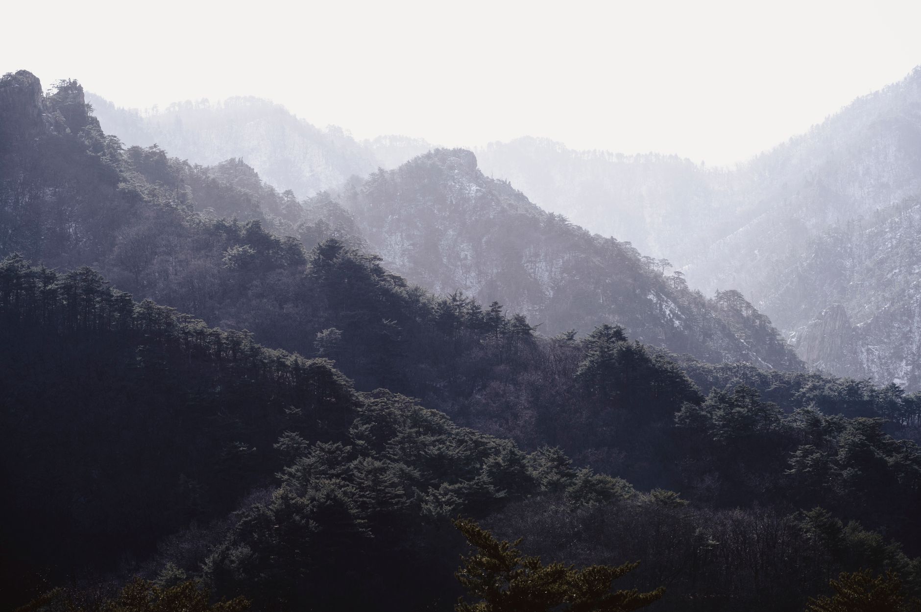 산재보험 계산기