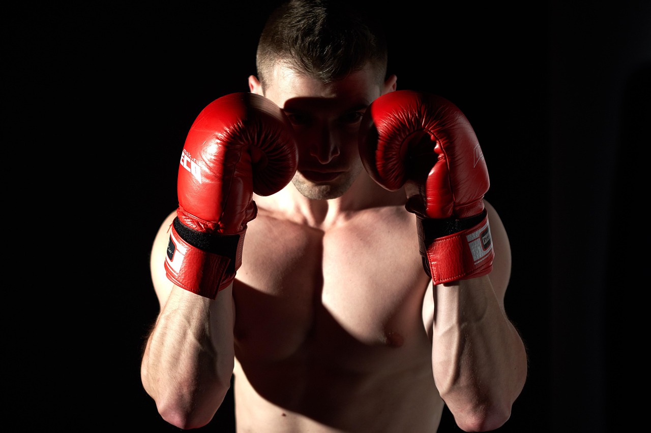 ufc 체급표