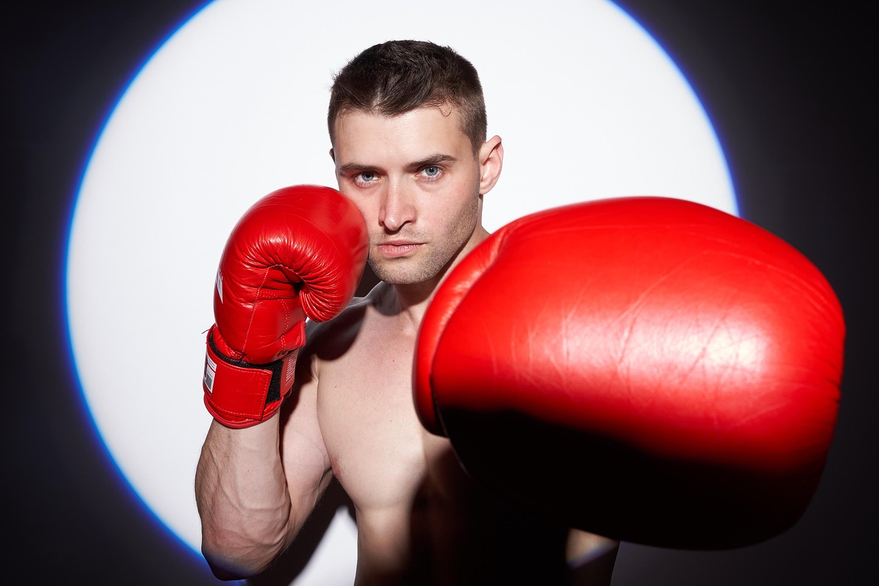 ufc 체급표