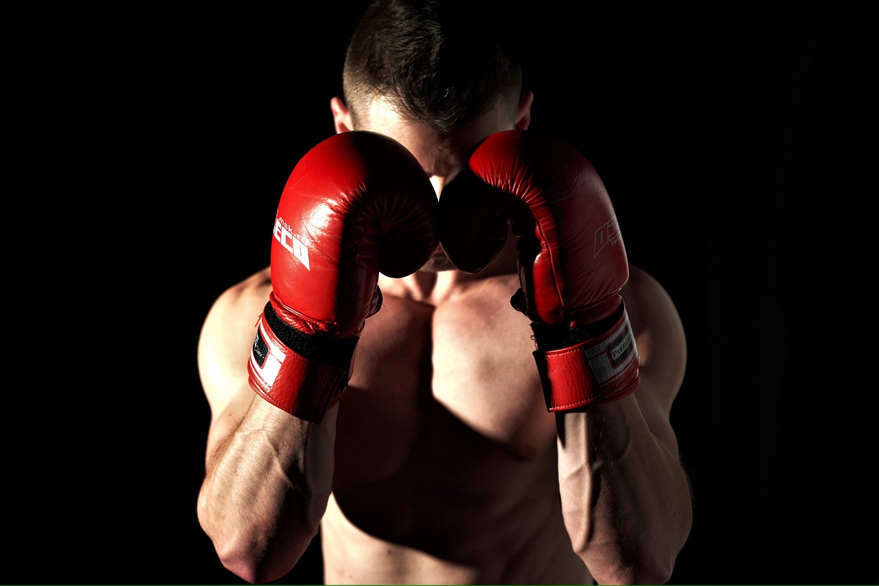 UFC 체급표 알아보자