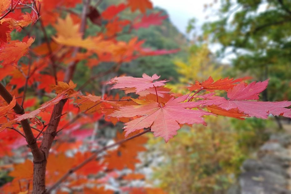 강원도교육청 복지몰 이용 꿀팁 알아보자