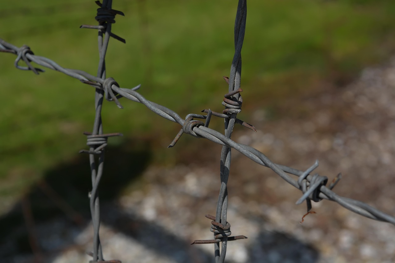 국민은행 입출금 알림