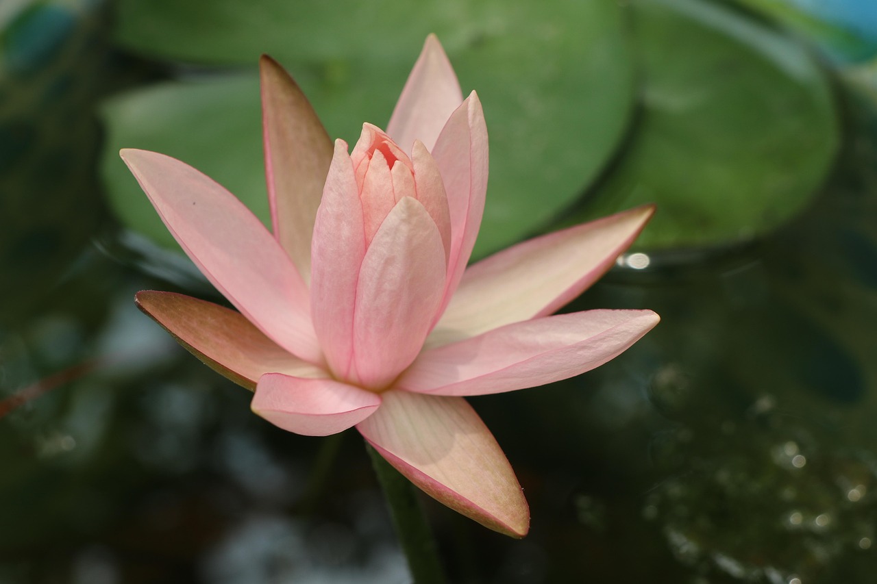 한쪽귀가 먹먹해요