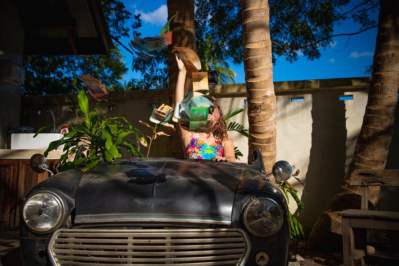 보험개발원 차량가액