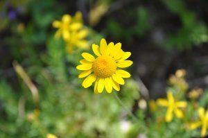 URL 단축을 활용하는 방법 살펴보기