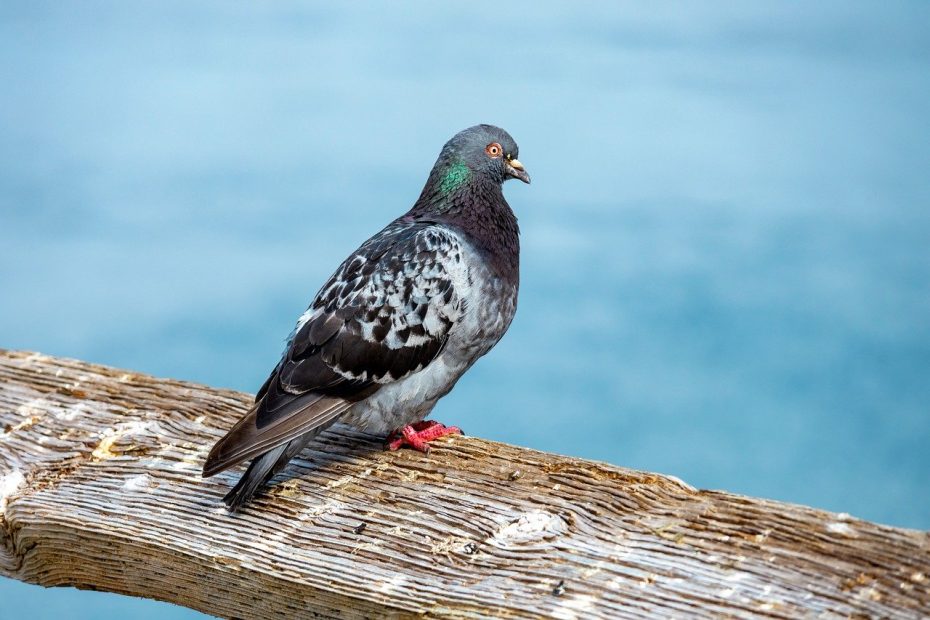 목젖 부었을 때 대처하는 방법 알아보자