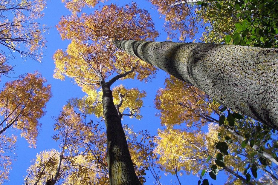 전역자 군번 조회하는 방법 알아보자