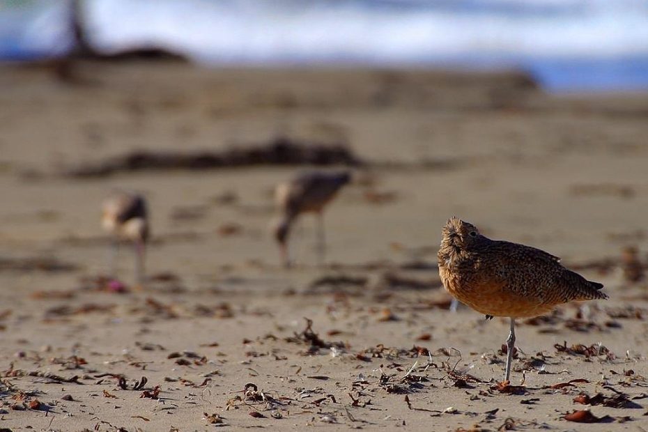 한쪽 귀 먹먹함 해소를 위한 5가지 방법