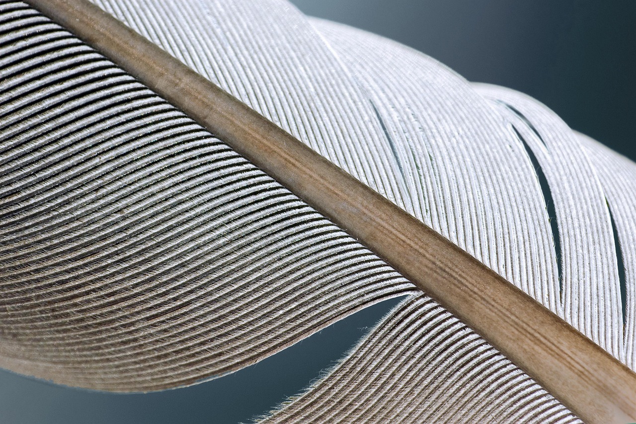 4대 사회보험 완납증명서