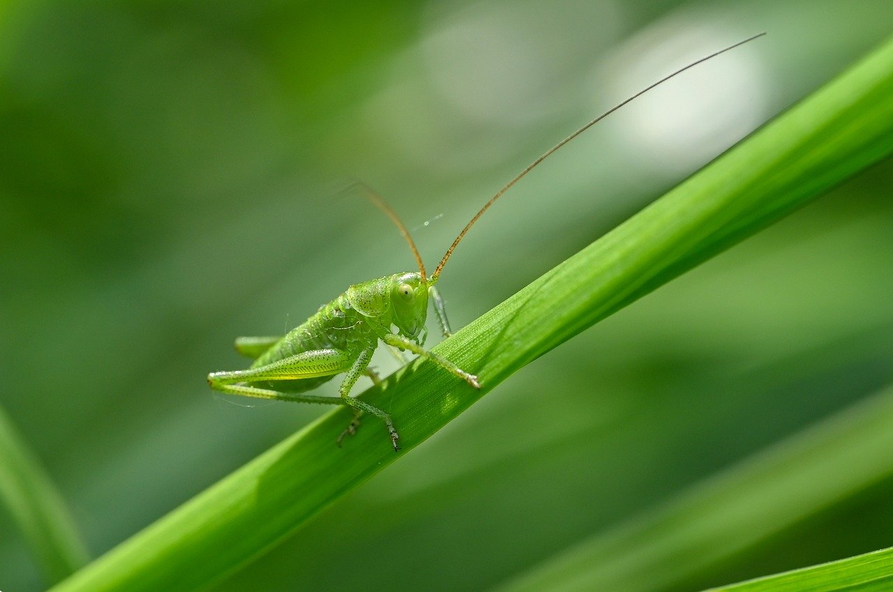 흥국생명 보험금청구