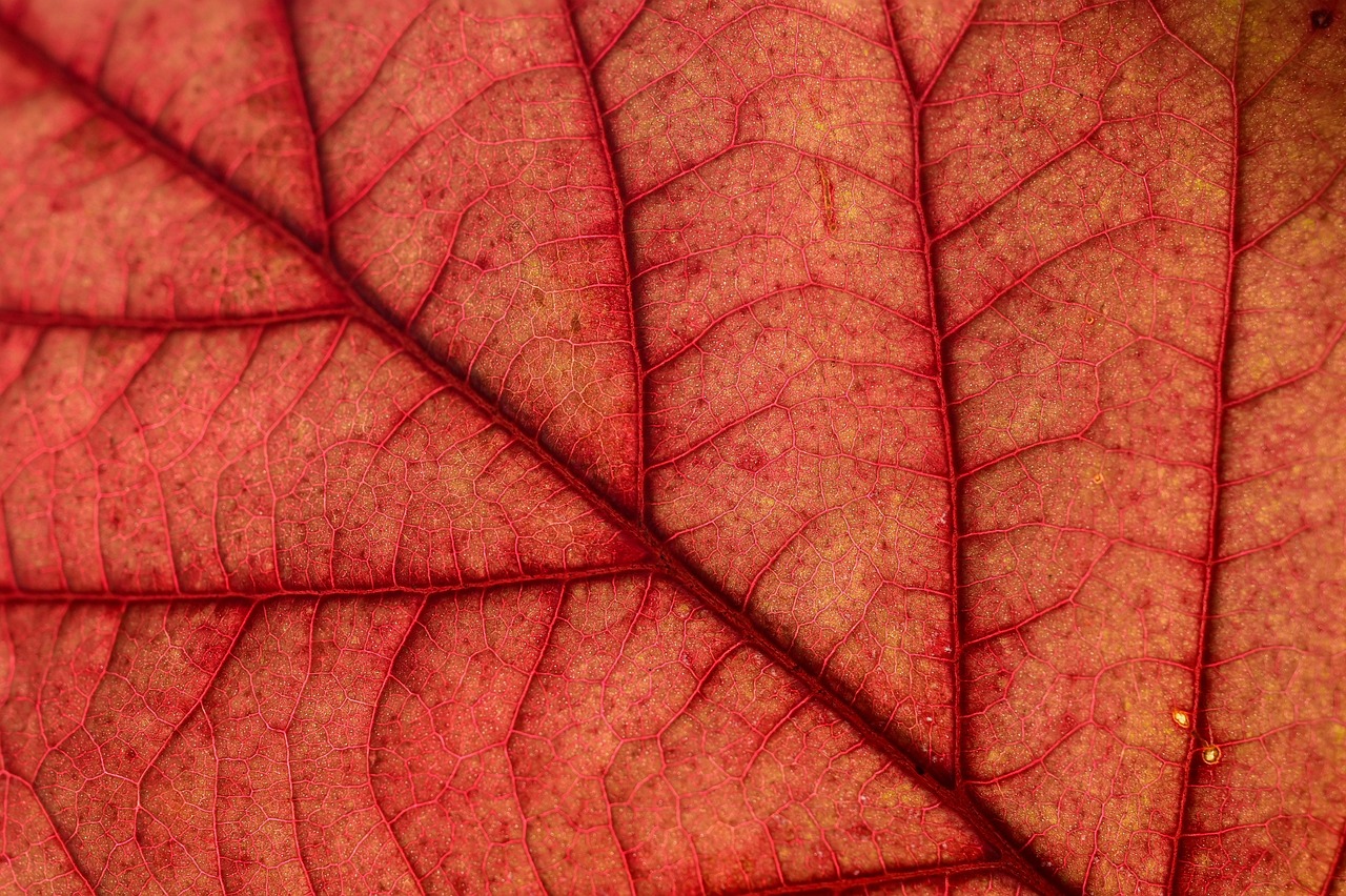 4대보험 급여 계산기