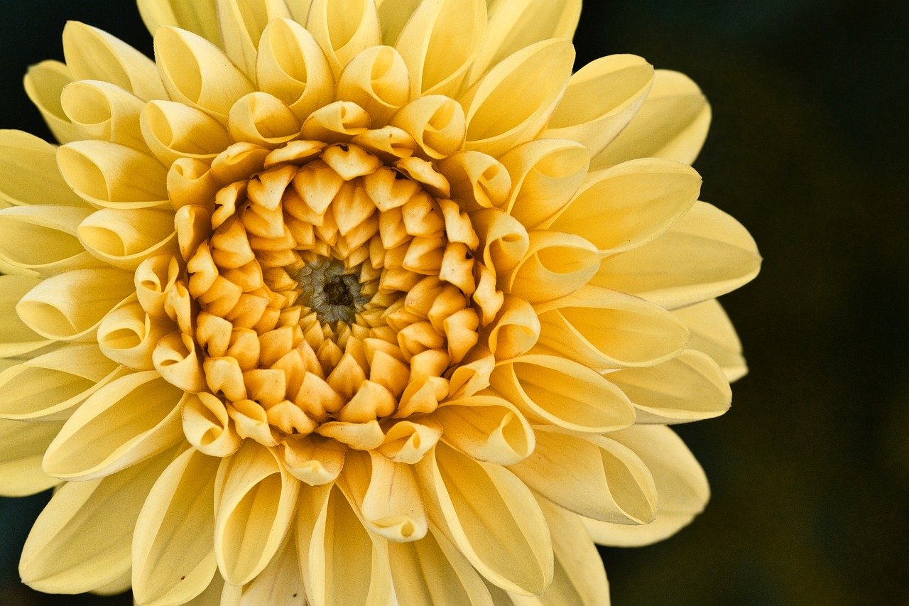 원예농협하나로마트