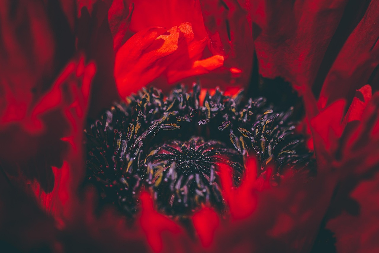 건강보험 고객센터