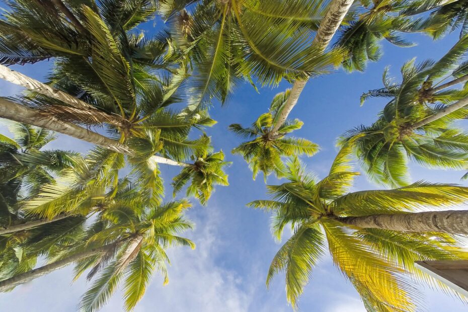 주휴수당 계산기 알바몬 주휴수당 계산기 알바몬