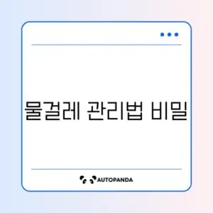 로보락 S8 Pro Ultra 물걸레 쉰내 제거 및 건조 설정