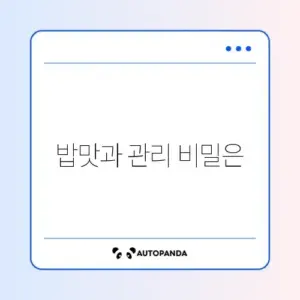 버미큘라 vs 스타우브: 무쇠 주물 냄비 밥맛 및 관리 난이도