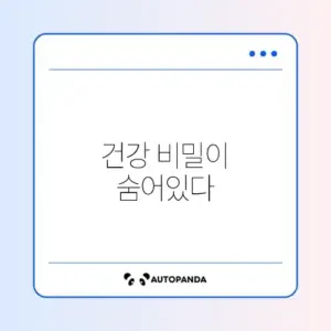 한 달 영양제 식단과 스트레칭 완벽 가이드 알아보기