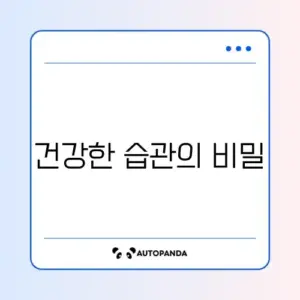 거북목 요요 산후 식단 완벽 정리 가이드