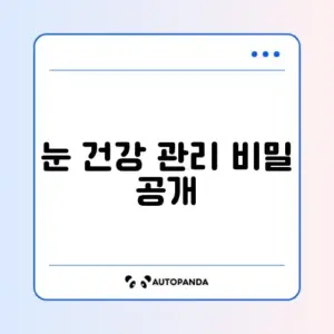 50대 눈건강 요요 효과 완벽 정리 방법
