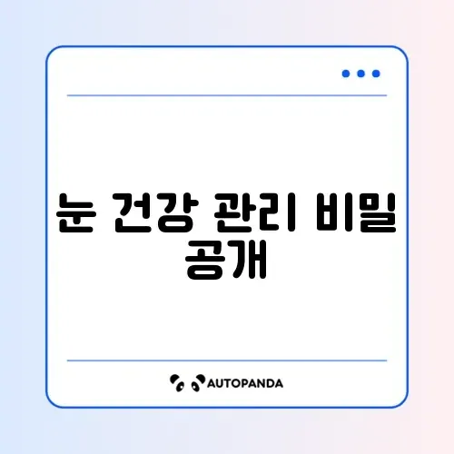 50대 눈건강 요요 효과 완벽 정리 방법 썸네일