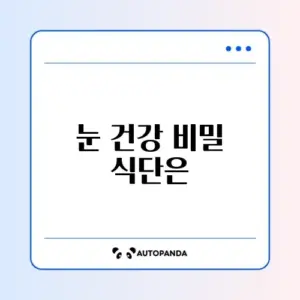 직장인 눈건강을 위한 4주 식단 가이드 알아보기