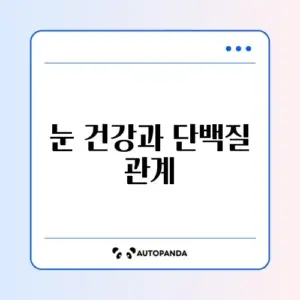 눈 건강을 위한 3개월 단백질 섭취량 완벽 가이드 알아보기
