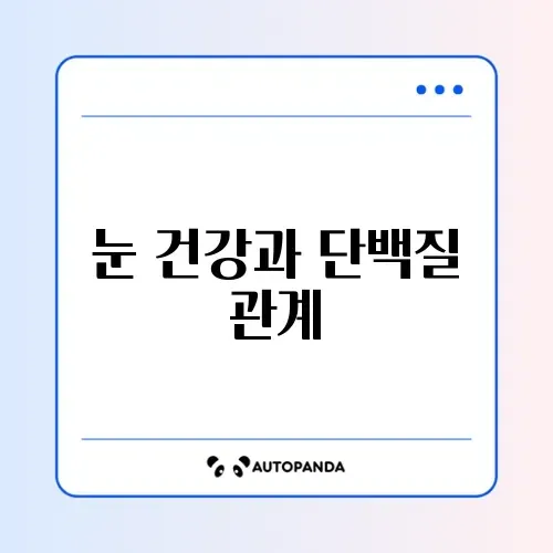 눈 건강을 위한 3개월 단백질 섭취량 완벽 가이드 알아보기 썸네일