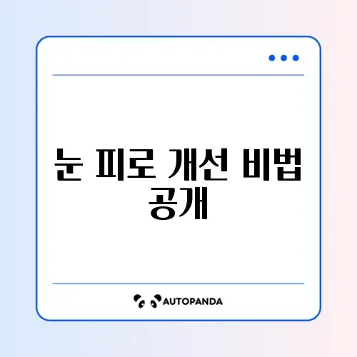 바쁜 사람을 위한 눈건강 3개월 비교 가이드 알아보기 썸네일