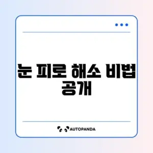 바쁜 사람을 위한 눈건강 4주 집중 관리 가이드
