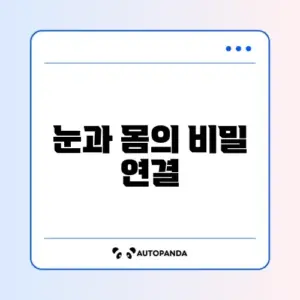 눈 건강과 자세 교정, 갱년기 관리 완벽 가이드 알아보기