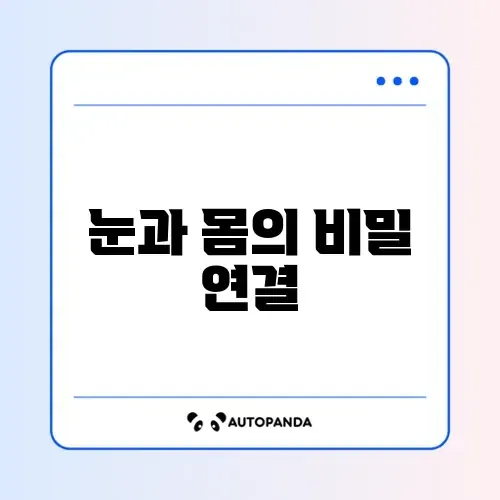 눈 건강과 자세 교정, 갱년기 관리 완벽 가이드 알아보기 썸네일