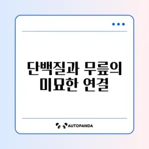 무릎통증 부작용과 단백질량, 직장인 건강 관리 가이드 알아보기