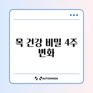 거북목 효과 4주 저당 완벽 정리 가이드