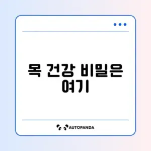집에서 하는 거북목 효과 스트레칭 완벽 가이드
