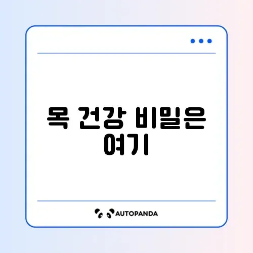 집에서 하는 거북목 효과 스트레칭 완벽 가이드 썸네일