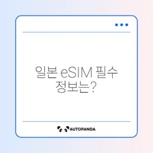 일본 여행 eSIM 준비물 완벽 가이드!