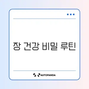 장건강을 위한 2주 운동루틴과 단백질량 완벽 정리