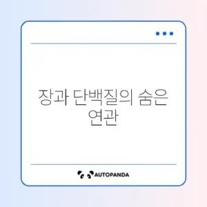 직장인 장건강과 단백질량 비교 완벽 가이드 알아보기