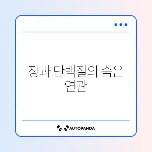 직장인 장건강과 단백질량 비교 완벽 가이드 알아보기 썸네일