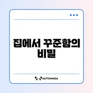 다이어트 효과와 요요 없이 헬스장 안 가고 성공하는 방법 완벽 정리