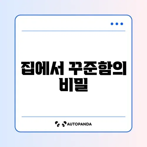 다이어트 효과와 요요 없이 헬스장 안 가고 성공하는 방법 완벽 정리 썸네일