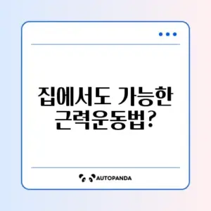 주 3회 헬스장 없이 하는 근력운동 비교 가이드