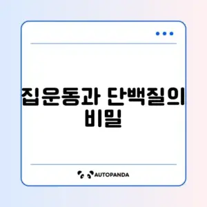 집에서 하는 유산소 운동과 단백질 섭취량 완벽 정리 가이드