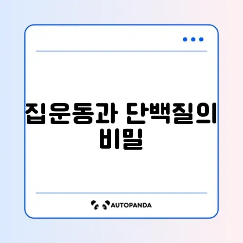 집에서 하는 유산소 운동과 단백질 섭취량 완벽 정리 가이드 썸네일