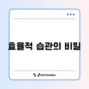 직장인 간헐적 단식과 매일 운동 루틴 완벽 가이드 알아보기