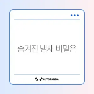자취방 냄새 완벽 제거 방법 알아보기