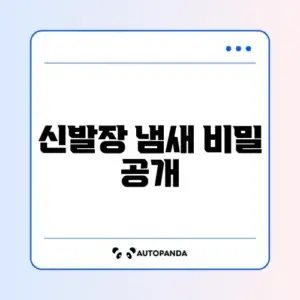 신발장 냄새 제거 완벽 가이드 알아보기