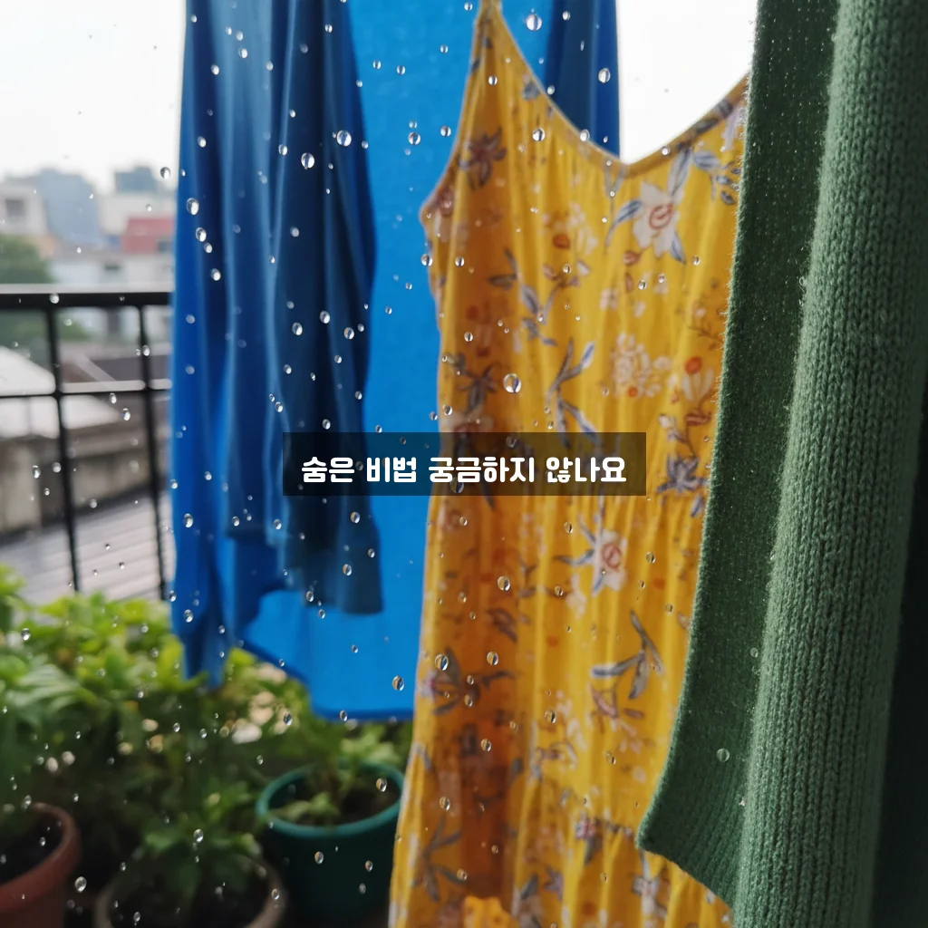 여름 장마철 빨래 냄새 깔끔하게 없애는 방법 완벽 정리 관련 이미지 2