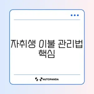 자취생 이불 세탁 주기 완벽 가이드 알아보기